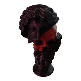 Visage de la liberté avec tête de mort, noir et bordeaux